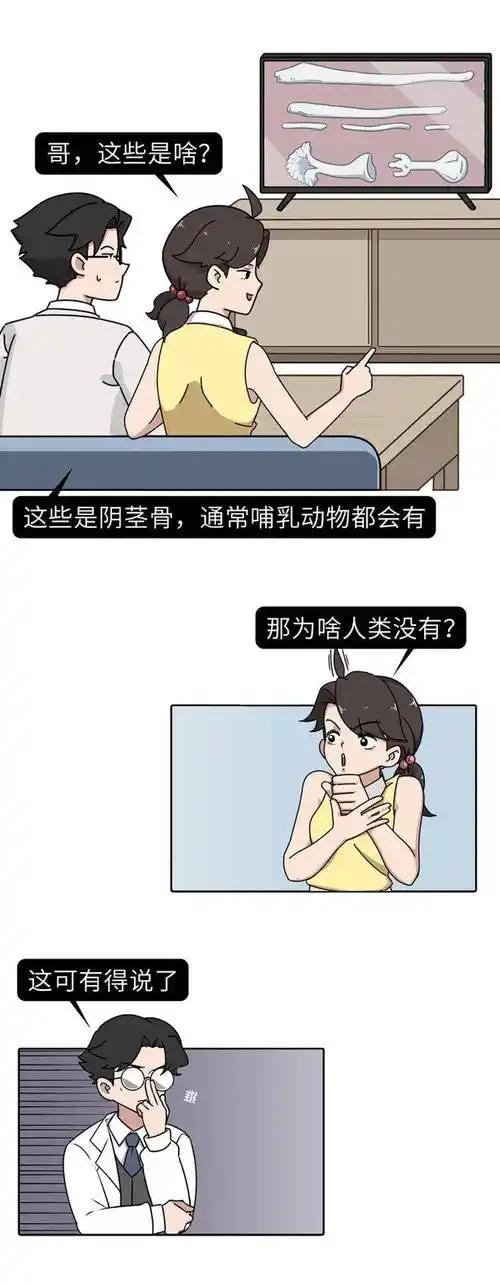 樊振东亮相杜塞尔多夫